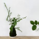 kokedama
